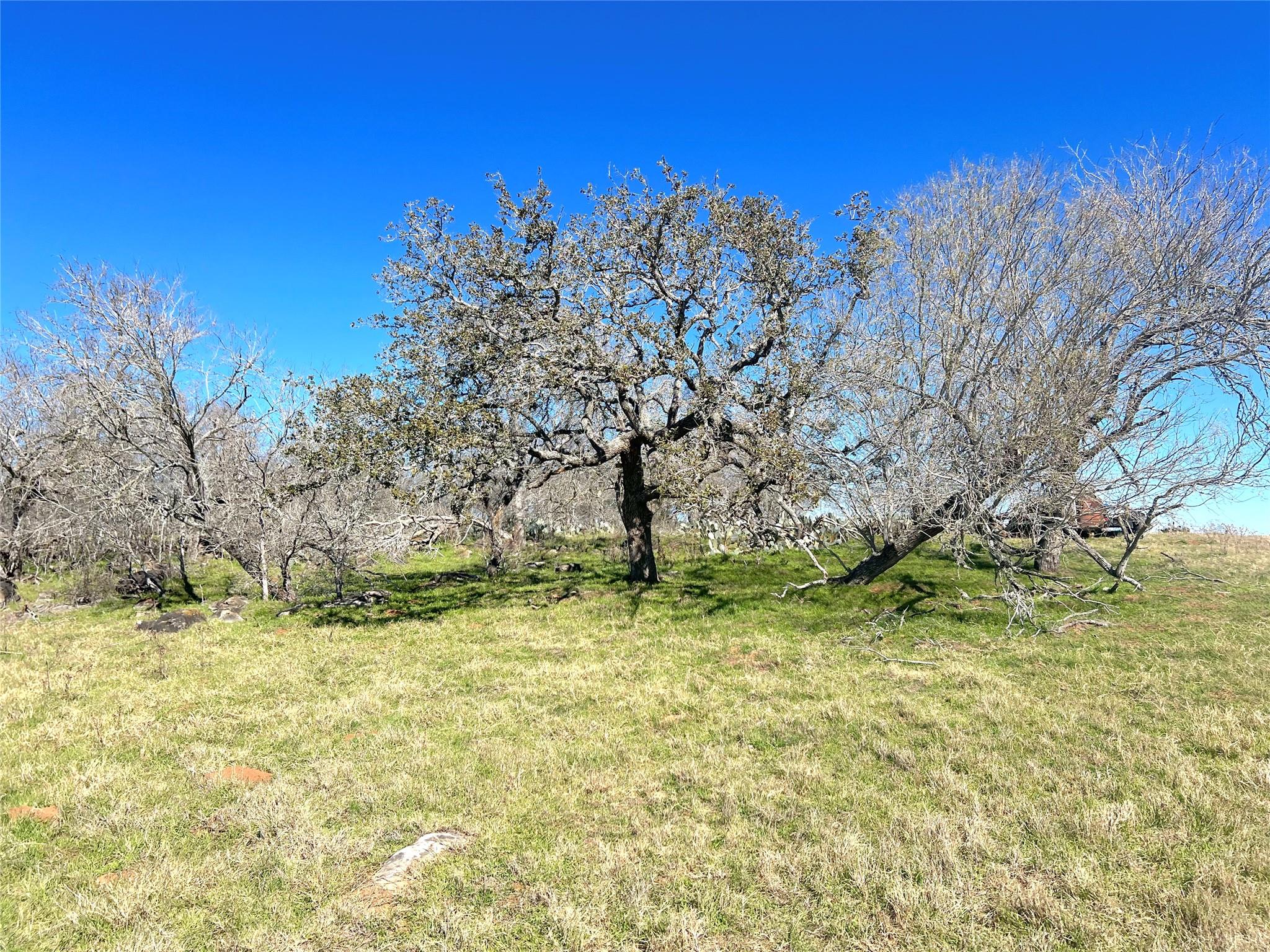 5912 Tenney Creek Rd, Luling, TX 78648