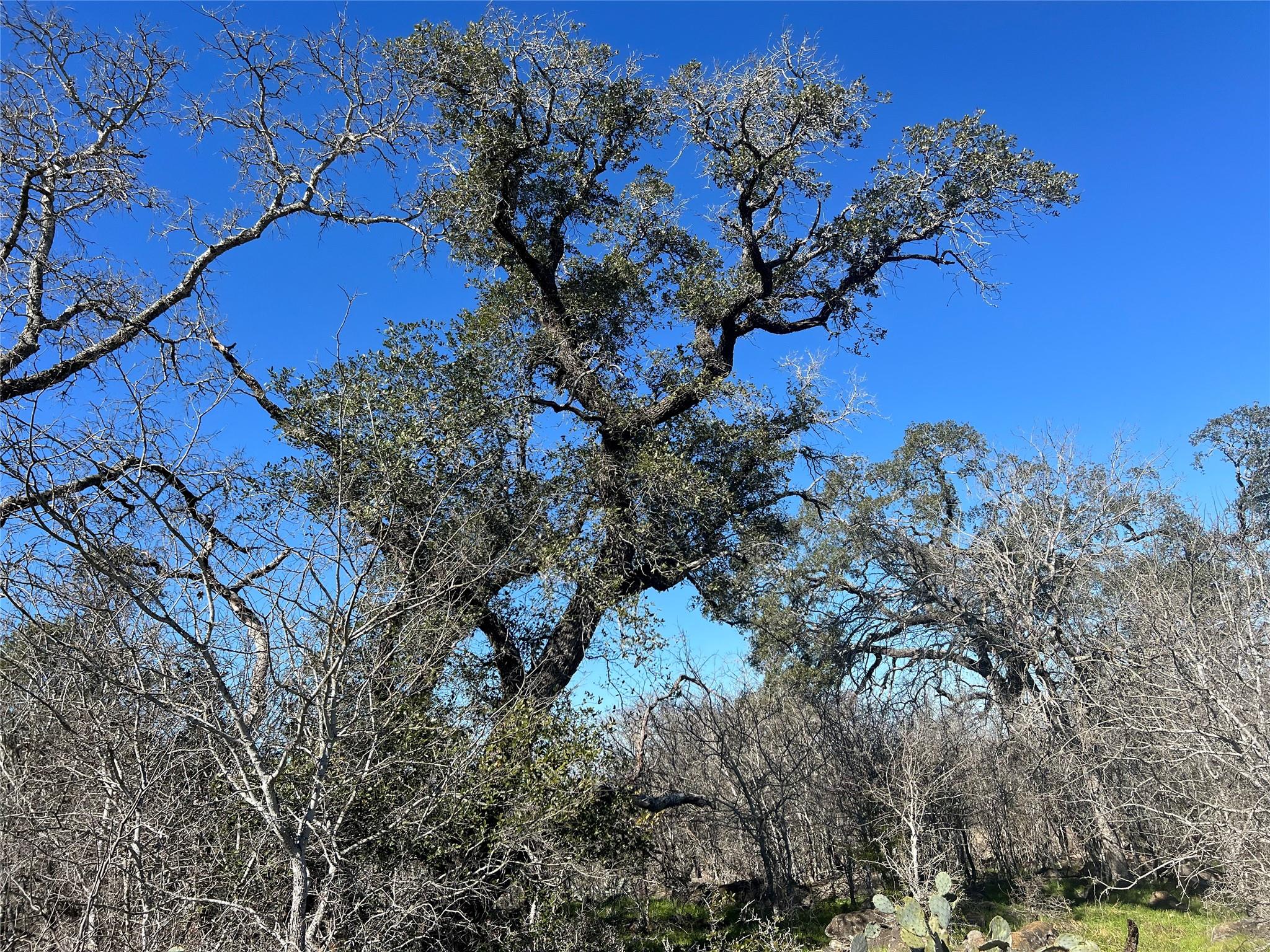 5912 Tenney Creek Rd, Luling, TX 78648