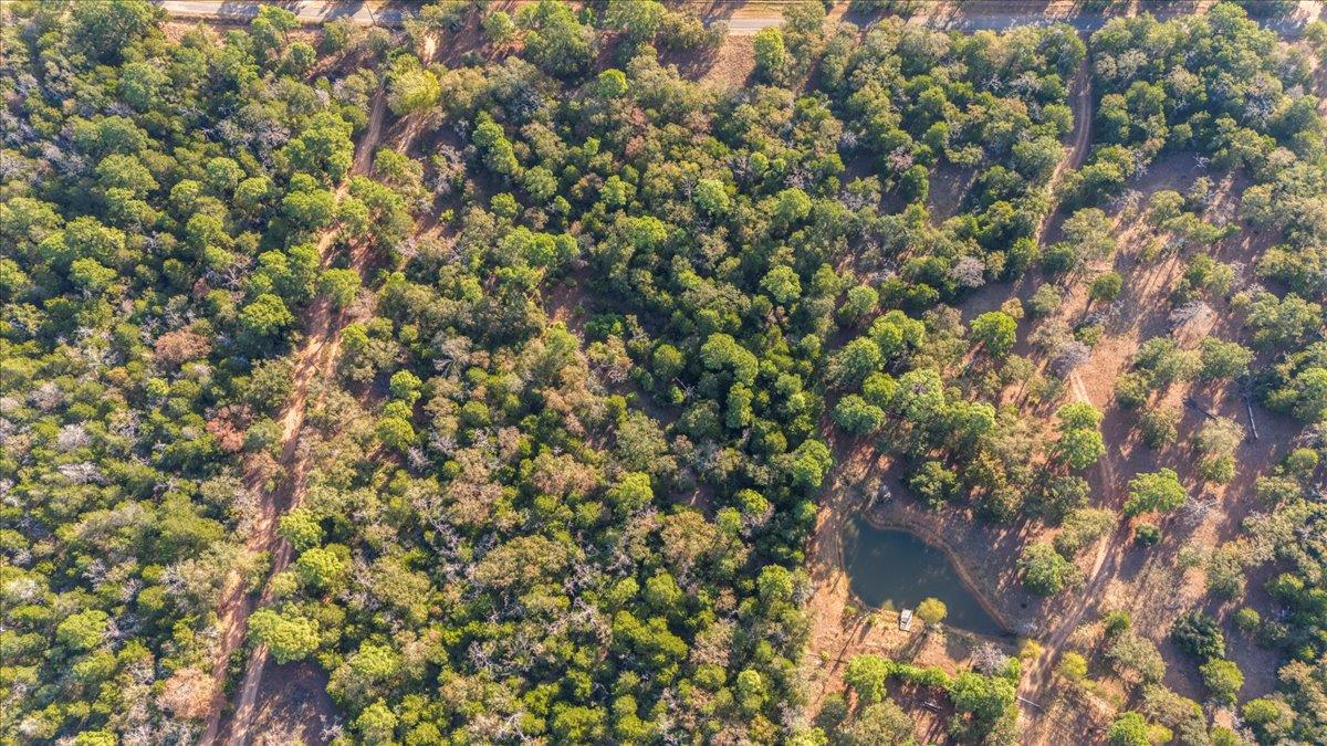 360 Copeland Hill Rd # 3-B, Smithville, TX 78957