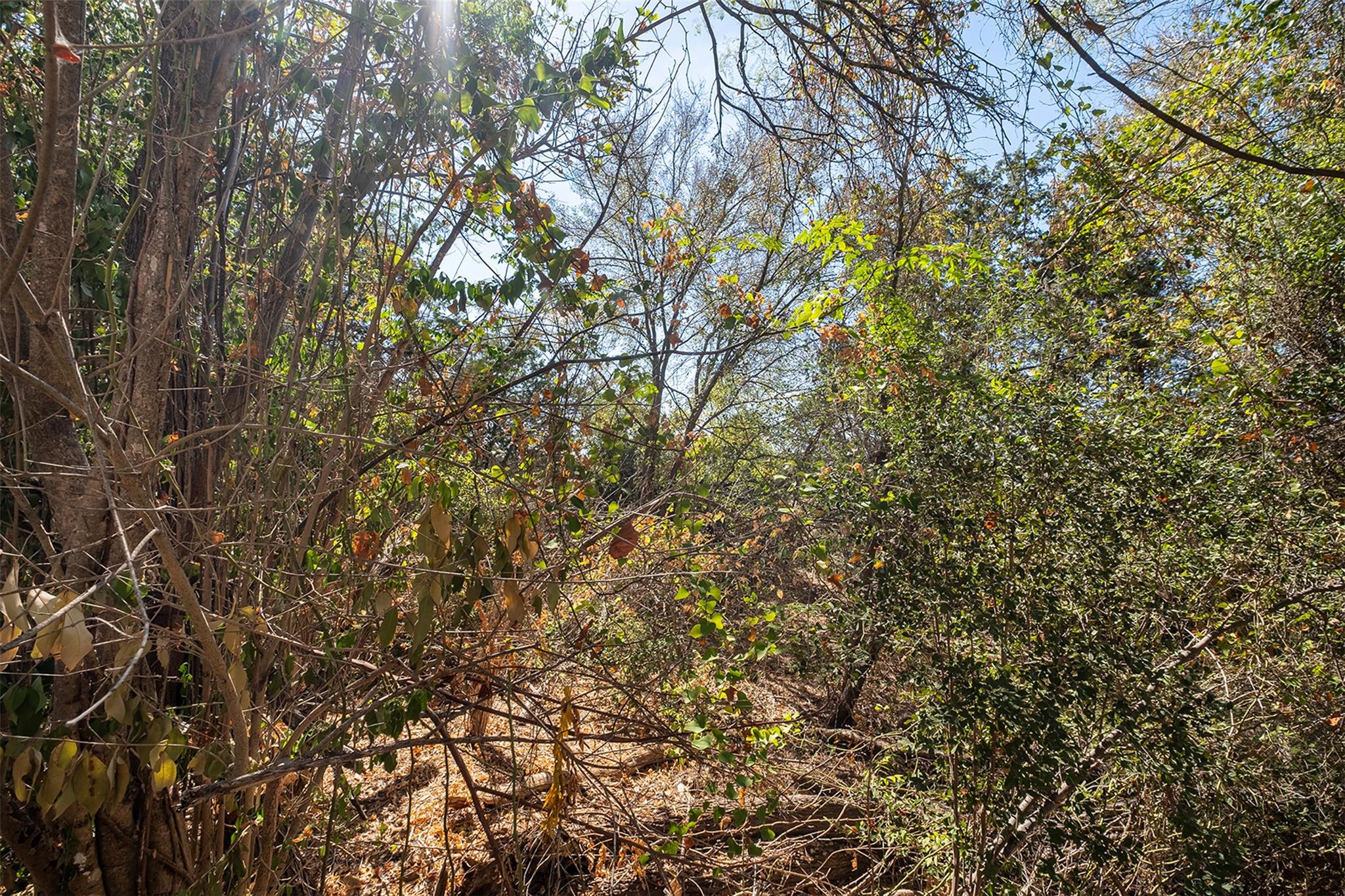 7101 Thannas Way, Austin, TX 78744