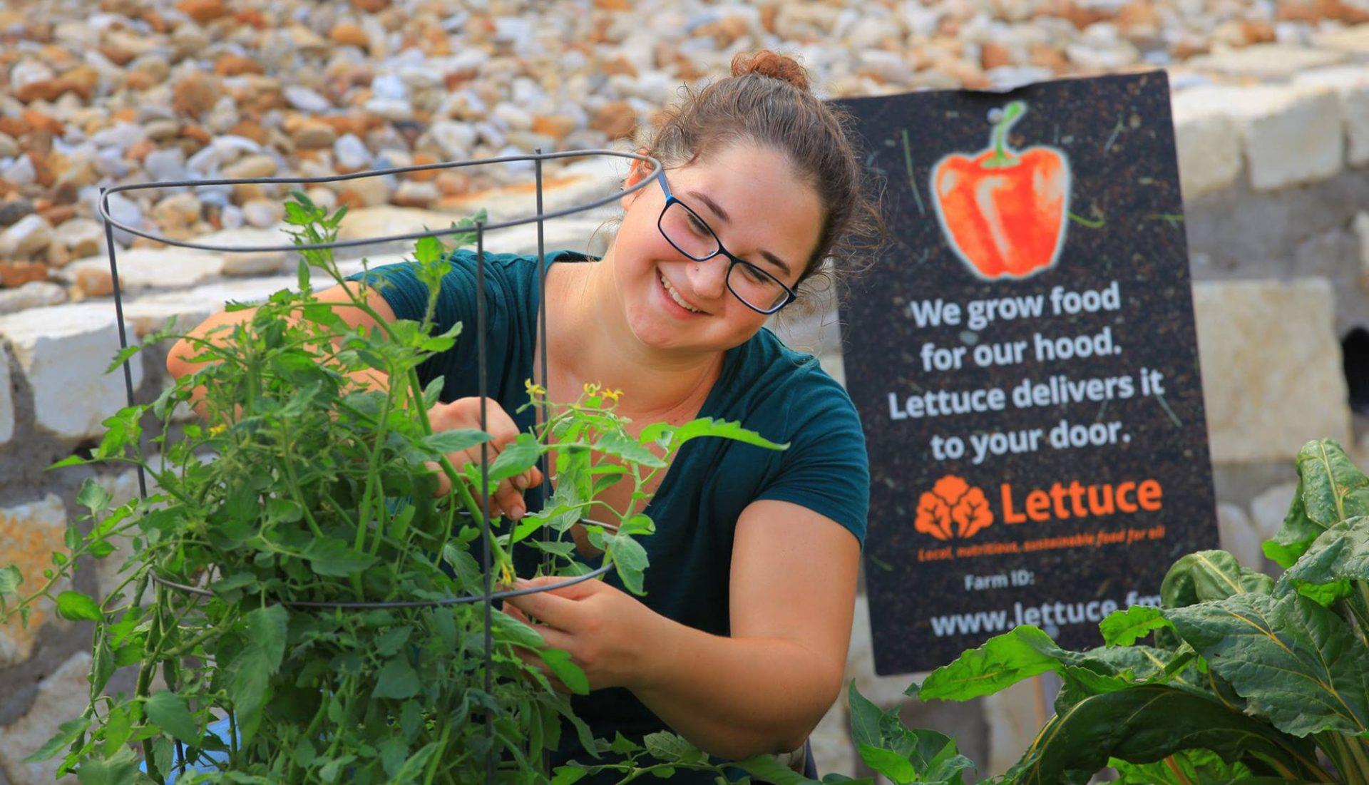 9809 Petrichor Blvd, Manor, TX 78653