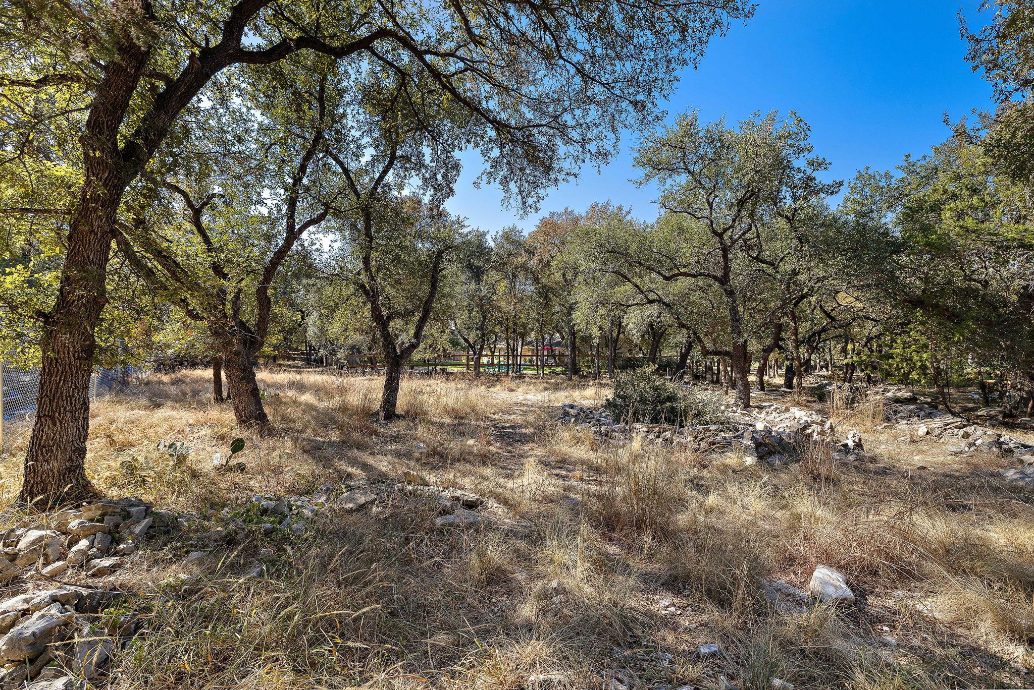 4203 Azul Ct, Georgetown, TX 78628