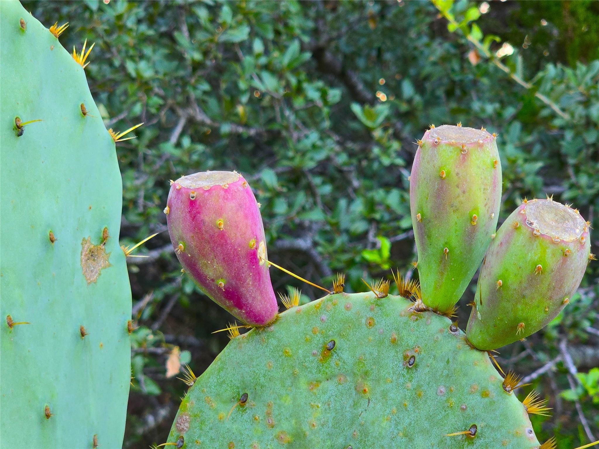 728 CR 206, Lampasas, TX 76550