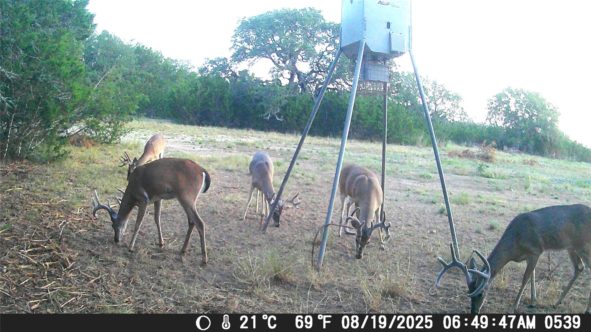 728 CR 206, Lampasas, TX 76550