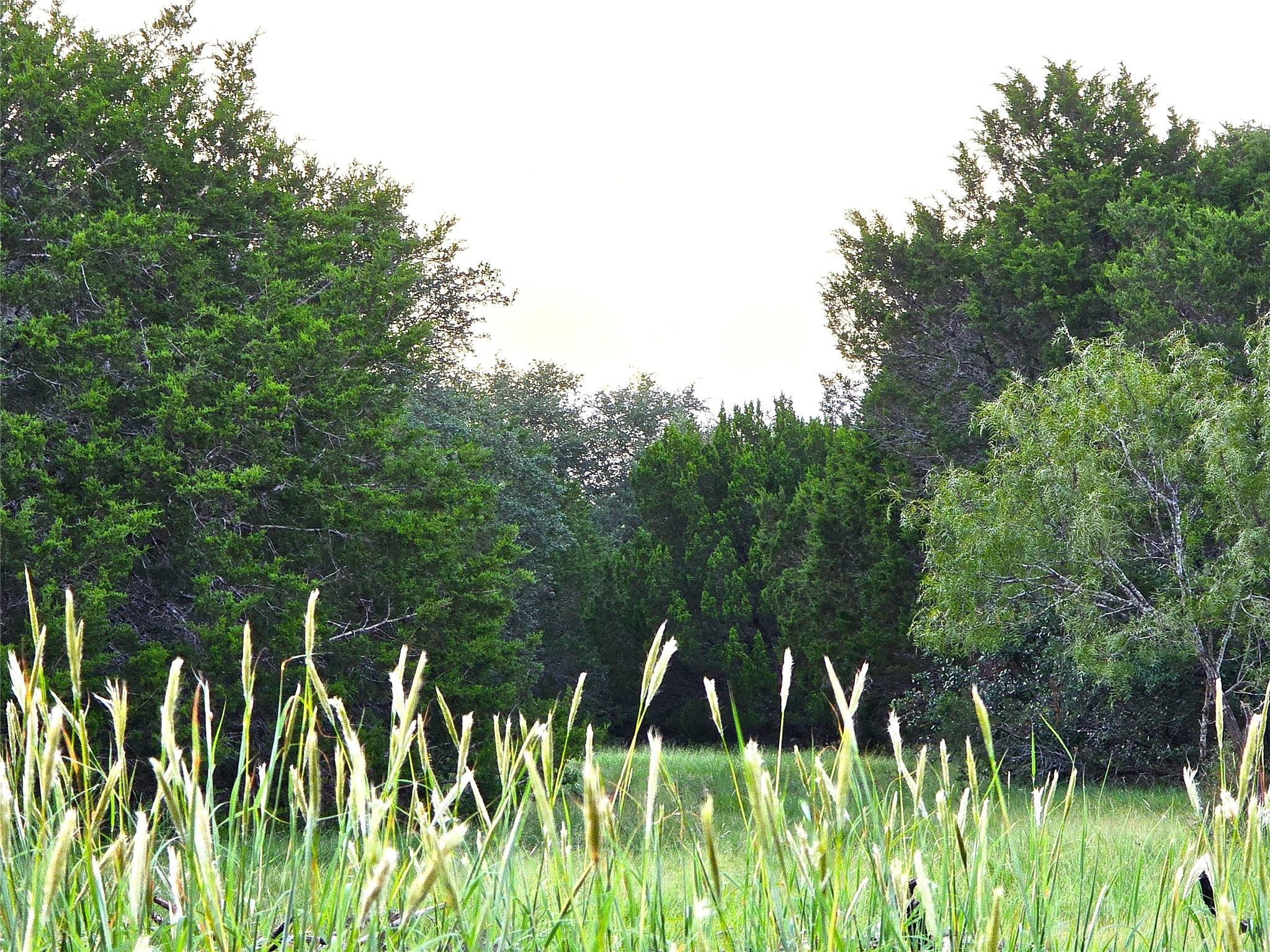 728 CR 206, Lampasas, TX 76550