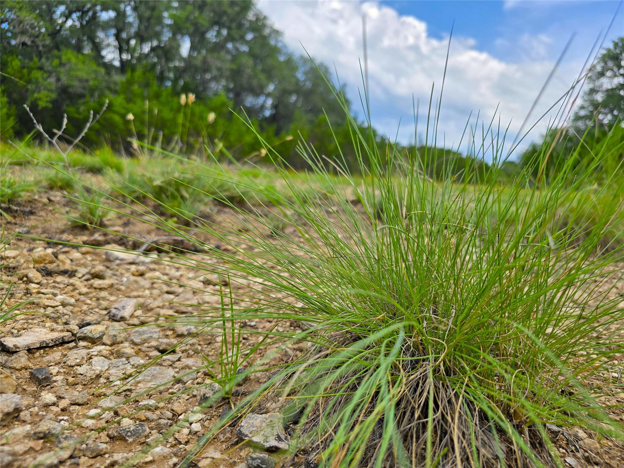 728 CR 206, Lampasas, TX 76550