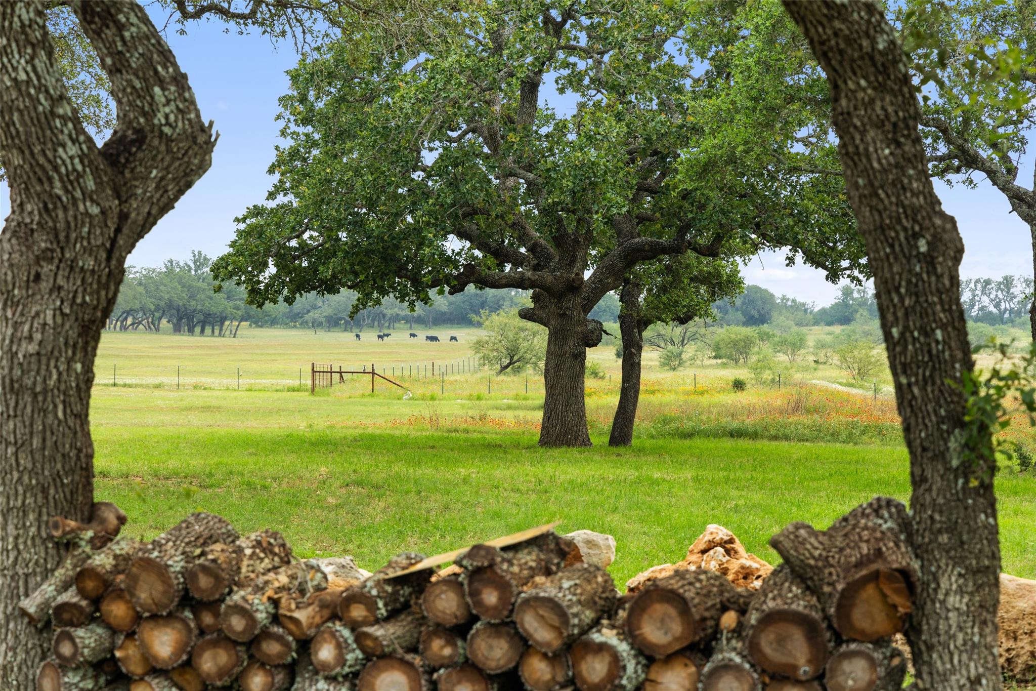 3431 Klett Ranch Road, Johnson City, TX 78636