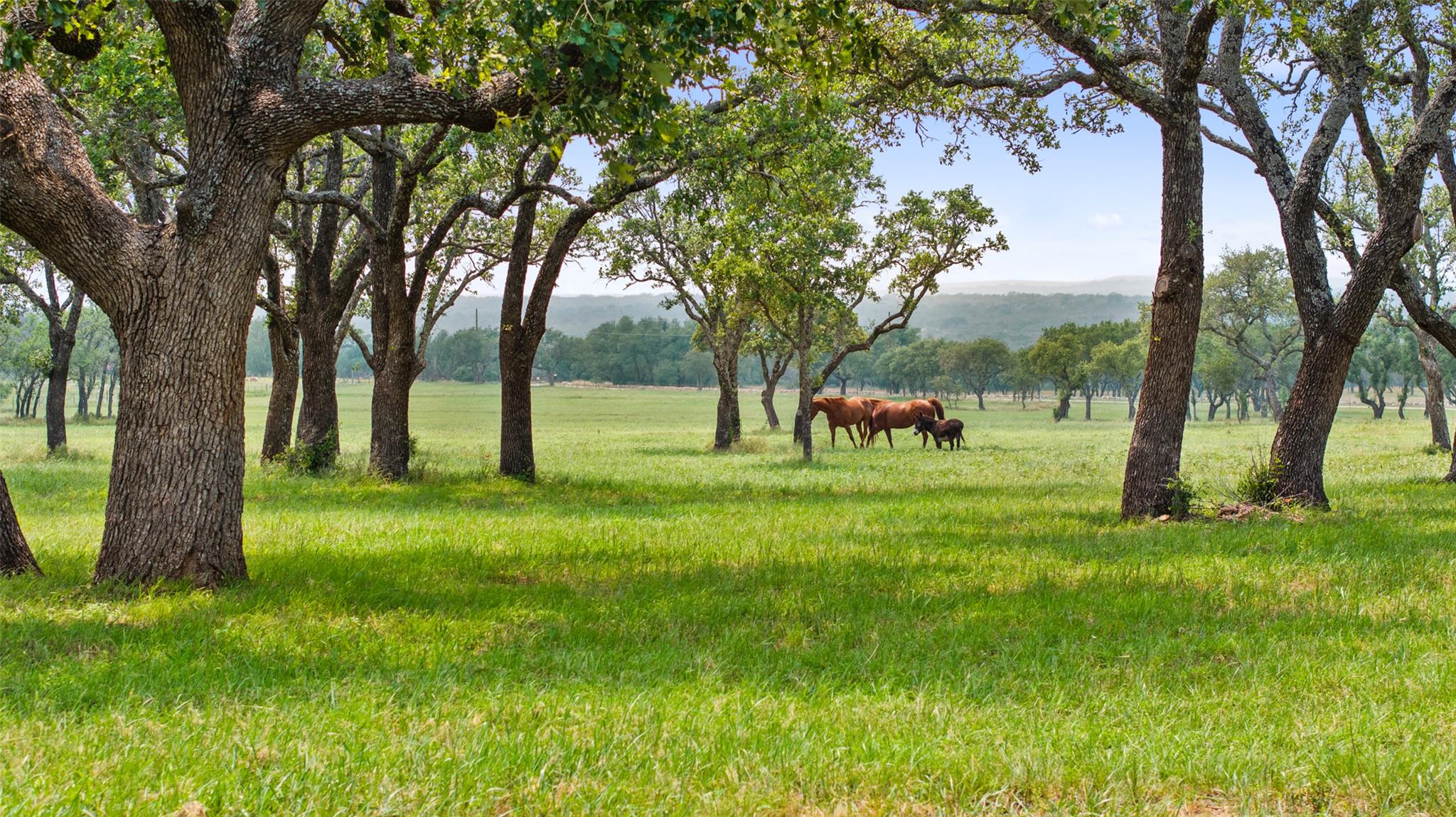 3431 Klett Ranch Road, Johnson City, TX 78636