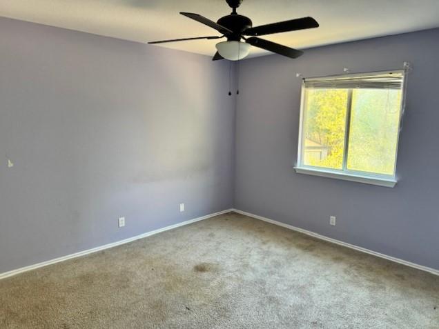 103 Winecup Path, Cedar Creek, TX 78612