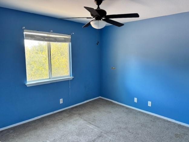 103 Winecup Path, Cedar Creek, TX 78612