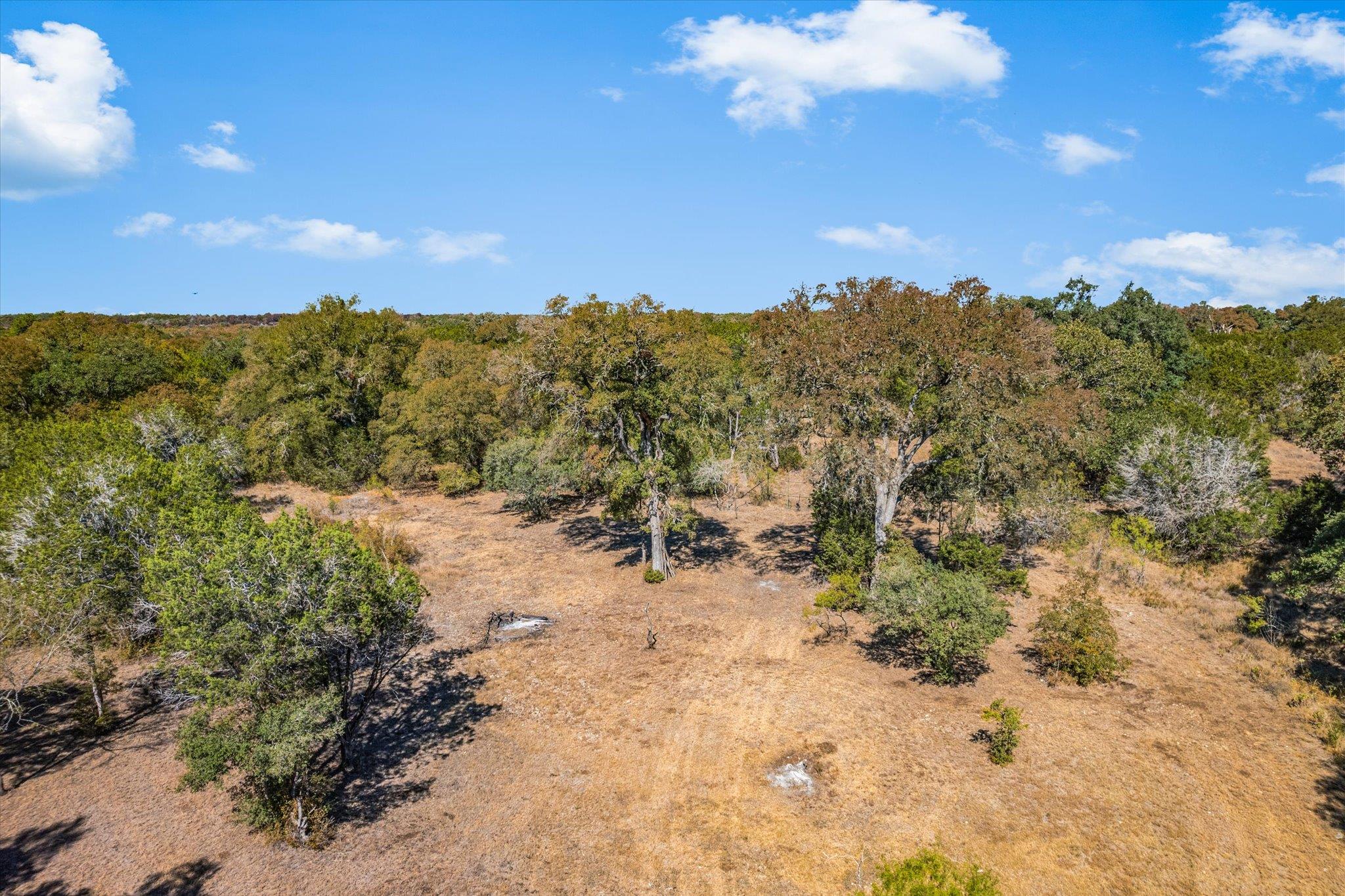 430 Humphrey Dr, Buda, TX 78610