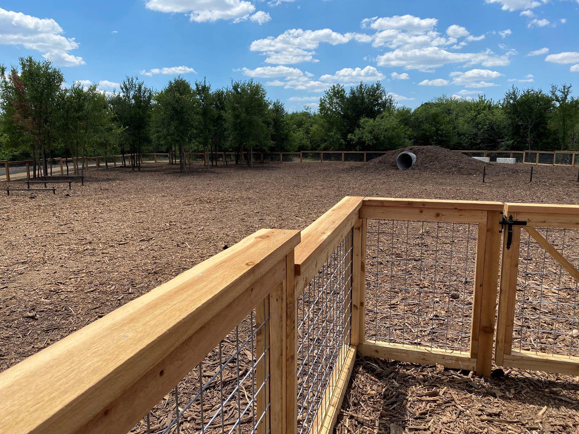 9801 Petrichor Blvd, Manor, TX 78653