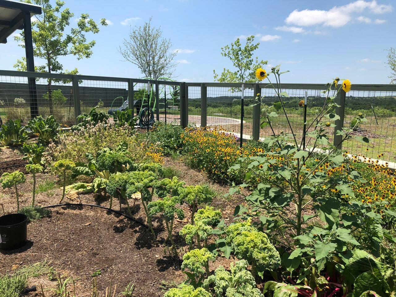 9801 Petrichor Blvd, Manor, TX 78653