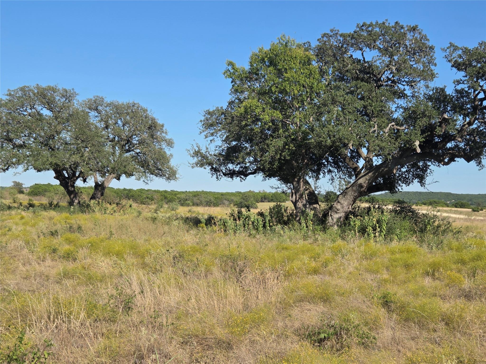 280 Waterbuck Way, Gatesville, TX 76538