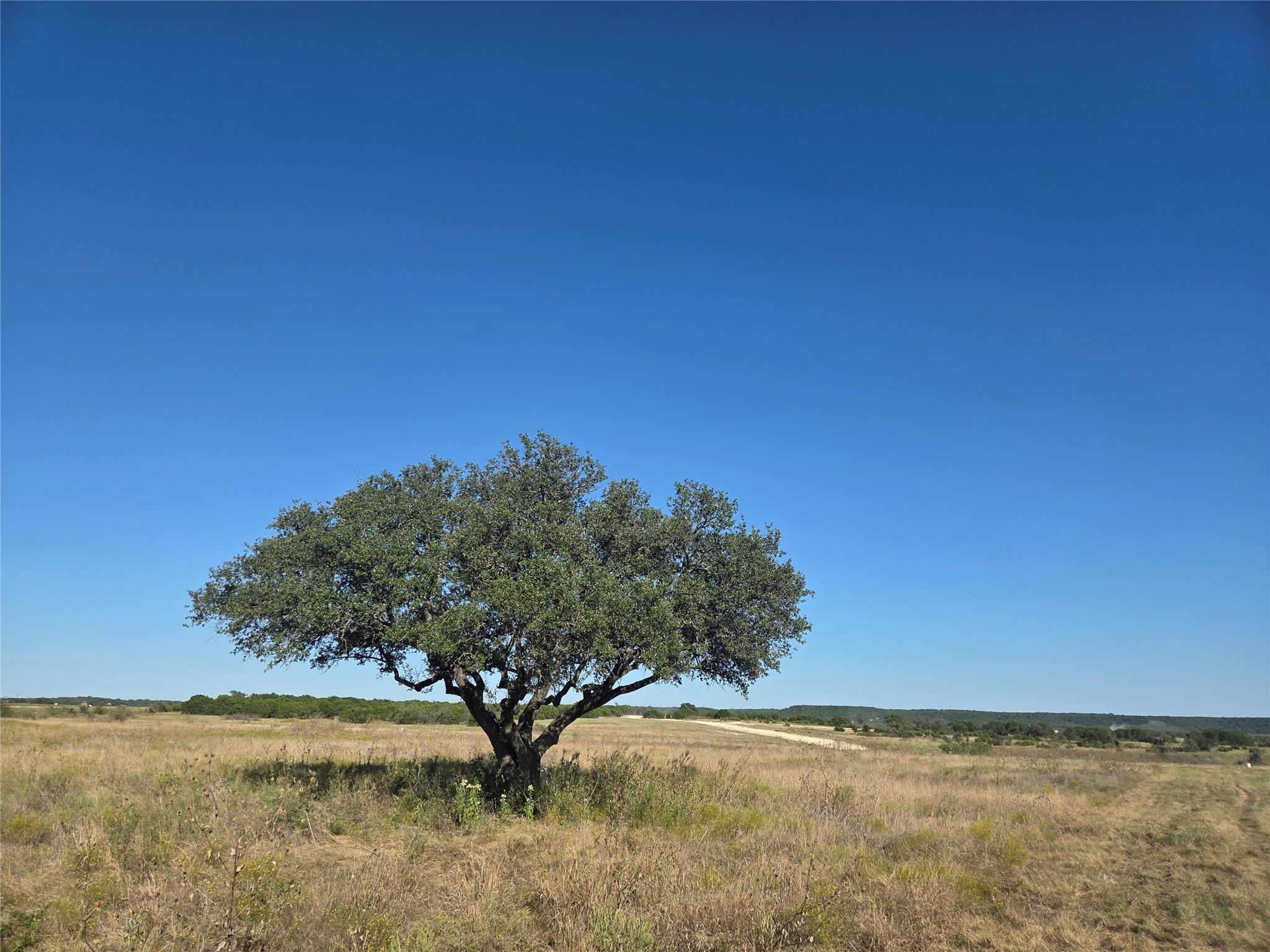 280 Waterbuck Way, Gatesville, TX 76538