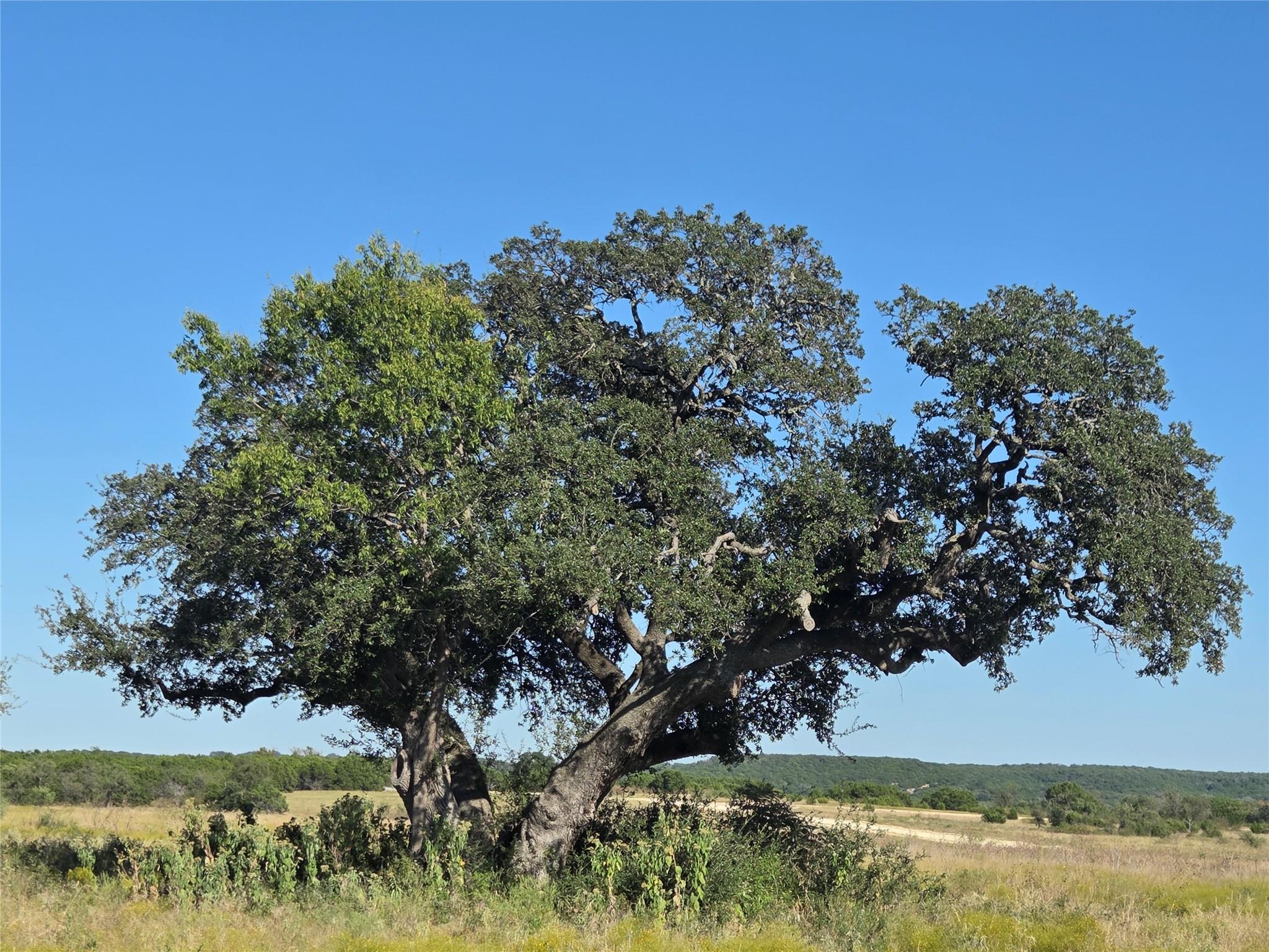 280 Waterbuck Way, Gatesville, TX 76538