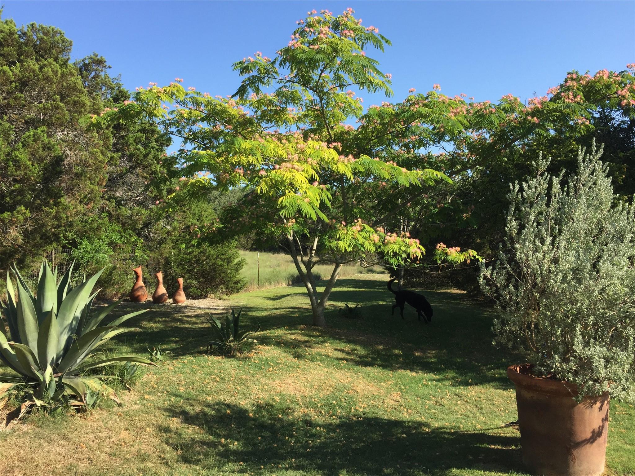 11205 Oak Branch Dr, Austin, TX 78737