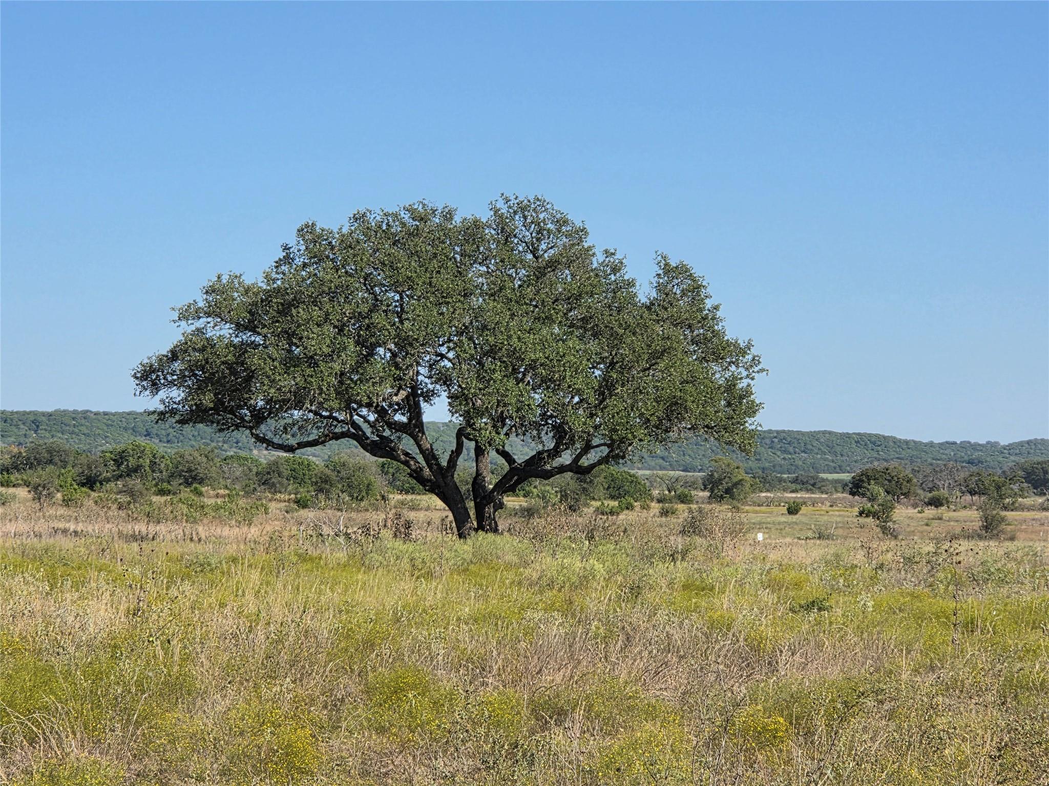 340 Waterbuck Way, Gatesville, TX 76538