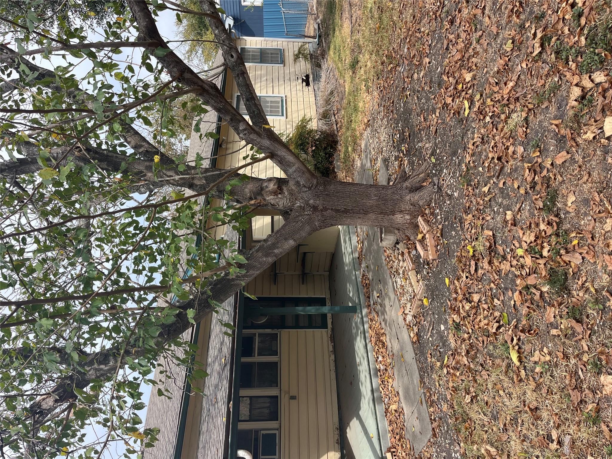 204 Oscar St, Taylor, TX 76574