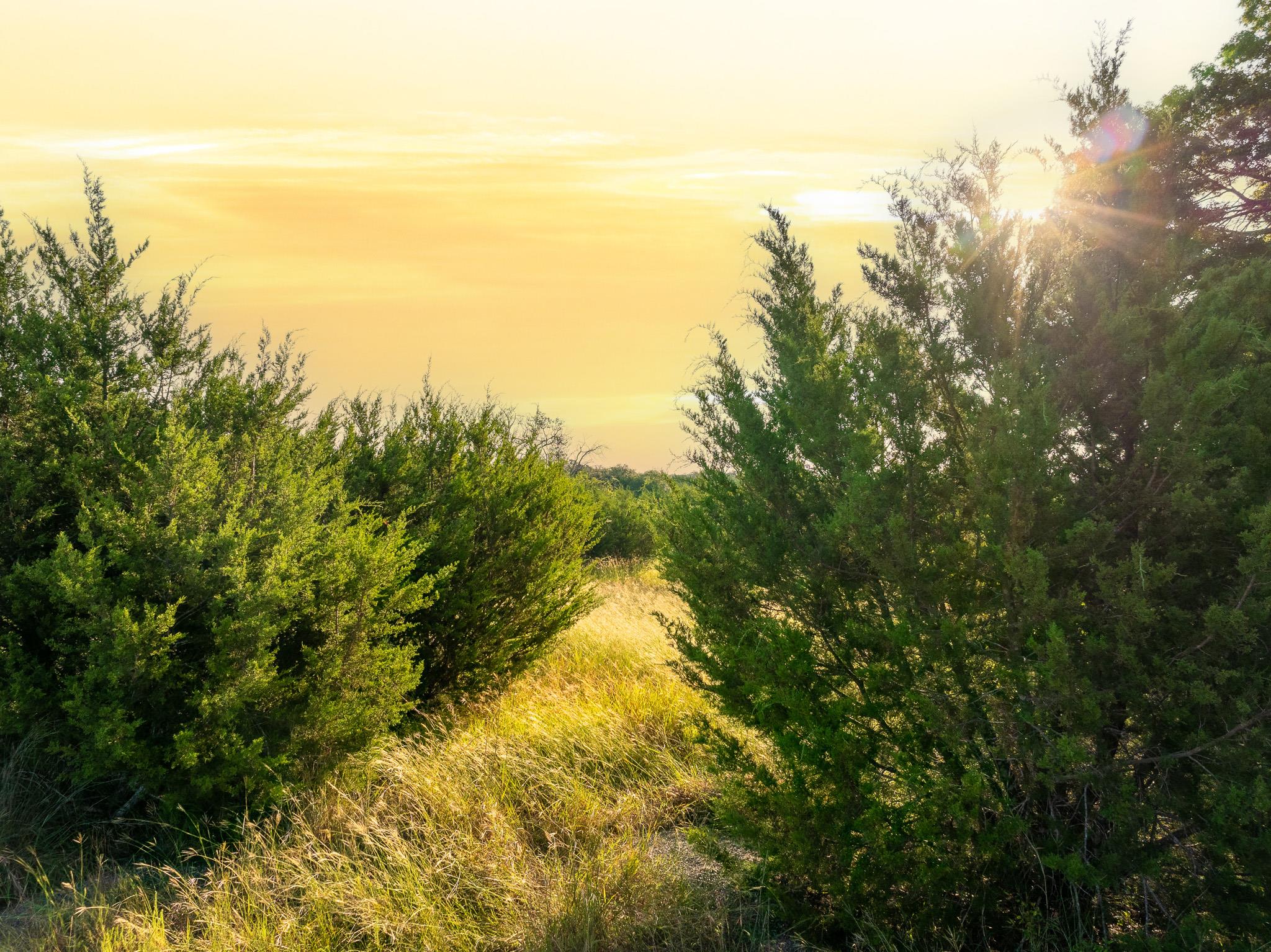 128 Private Road 142, Lampasas, TX 76550