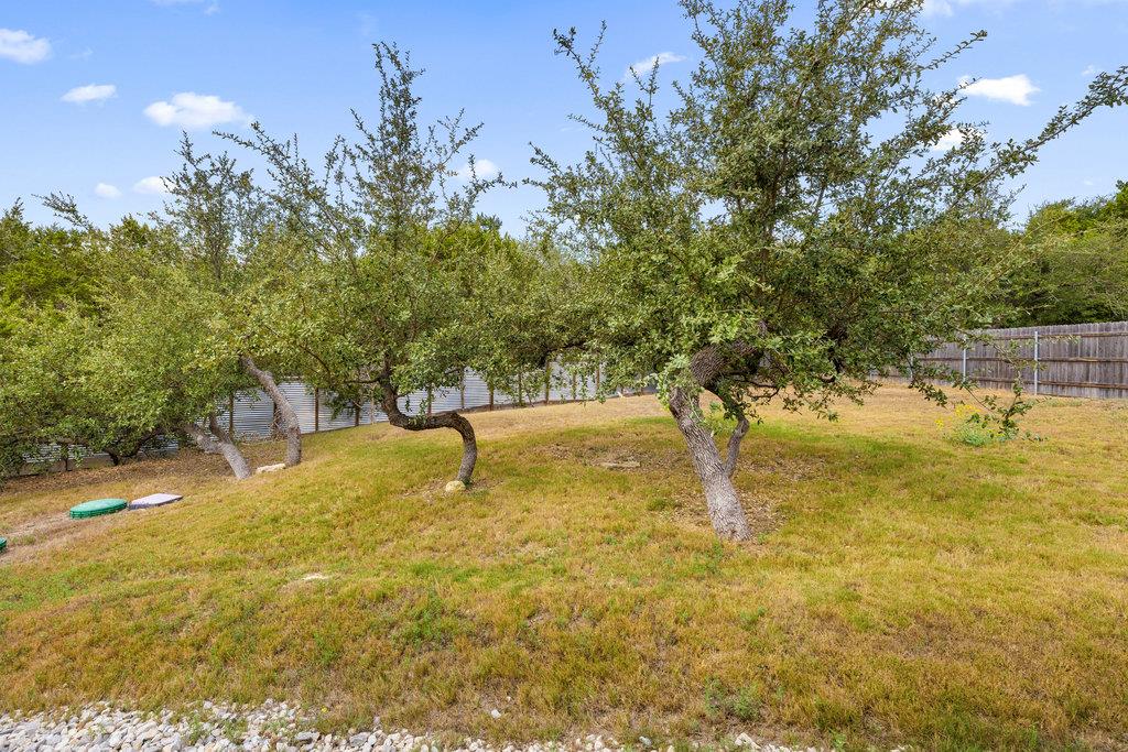 10006 George Hill Dr, Dripping Springs, TX 78620