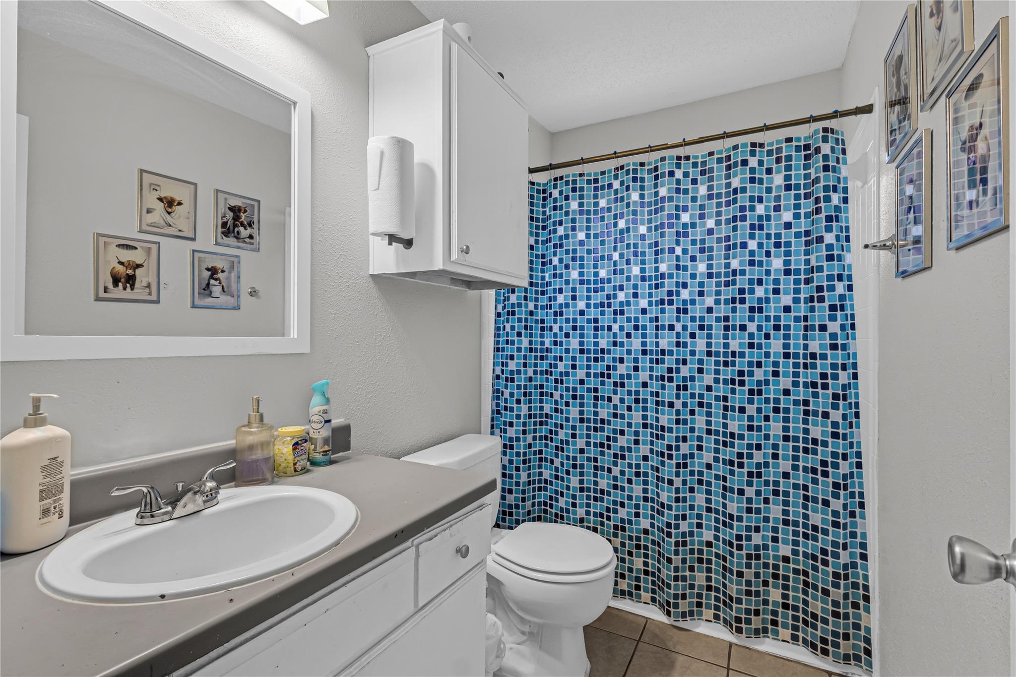 12808 Chromite St, Austin, TX 78727