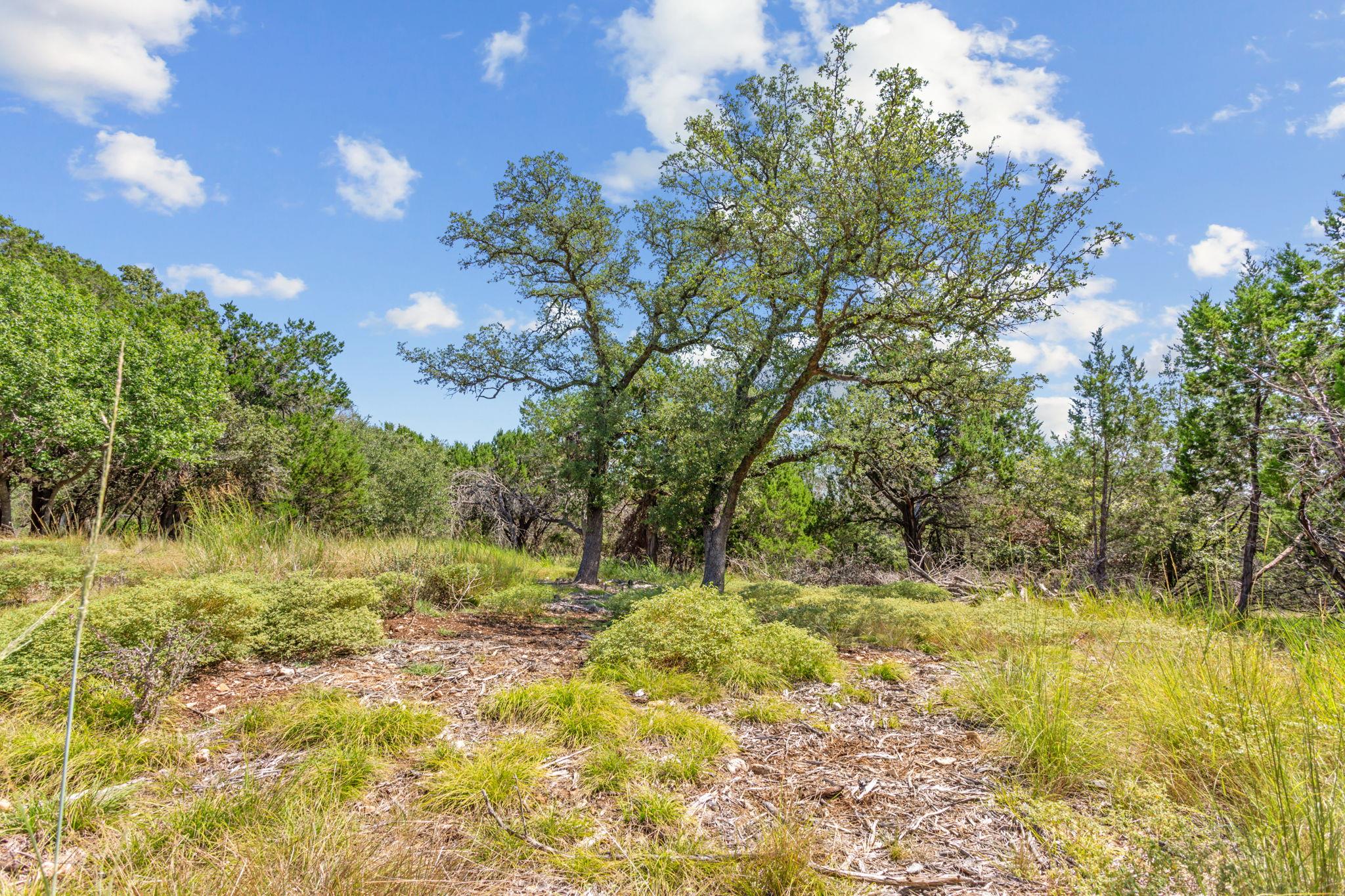 8390 Mountain Dr, Salado, TX 76571