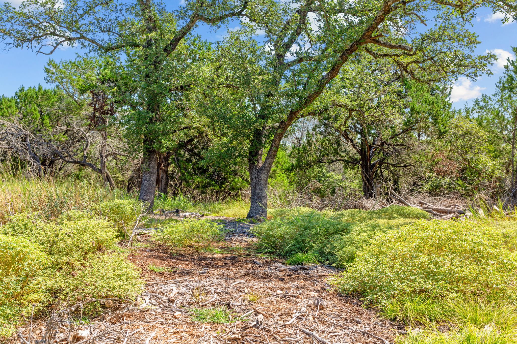 8390 Mountain Dr, Salado, TX 76571