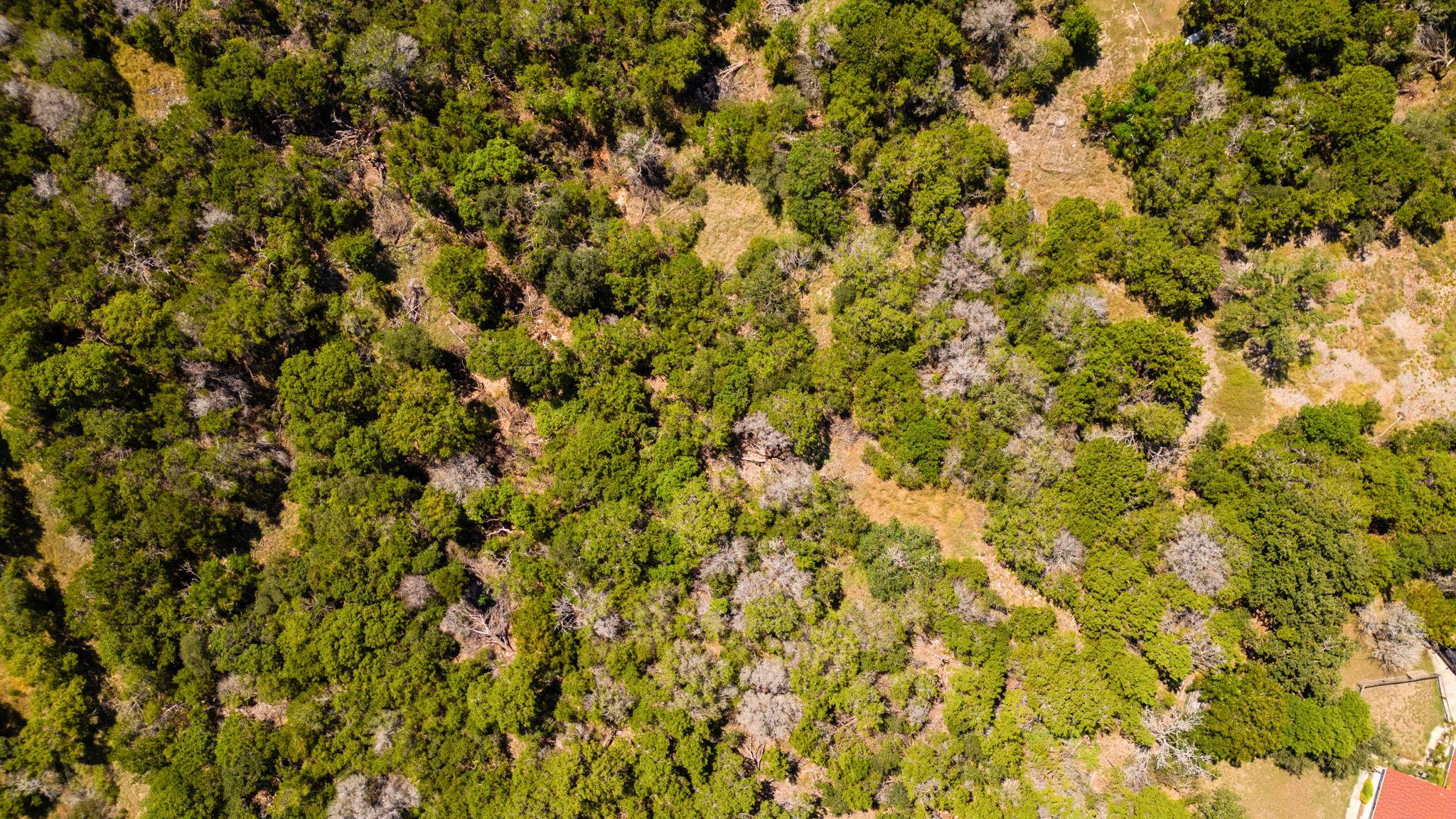 8390 Mountain Dr, Salado, TX 76571