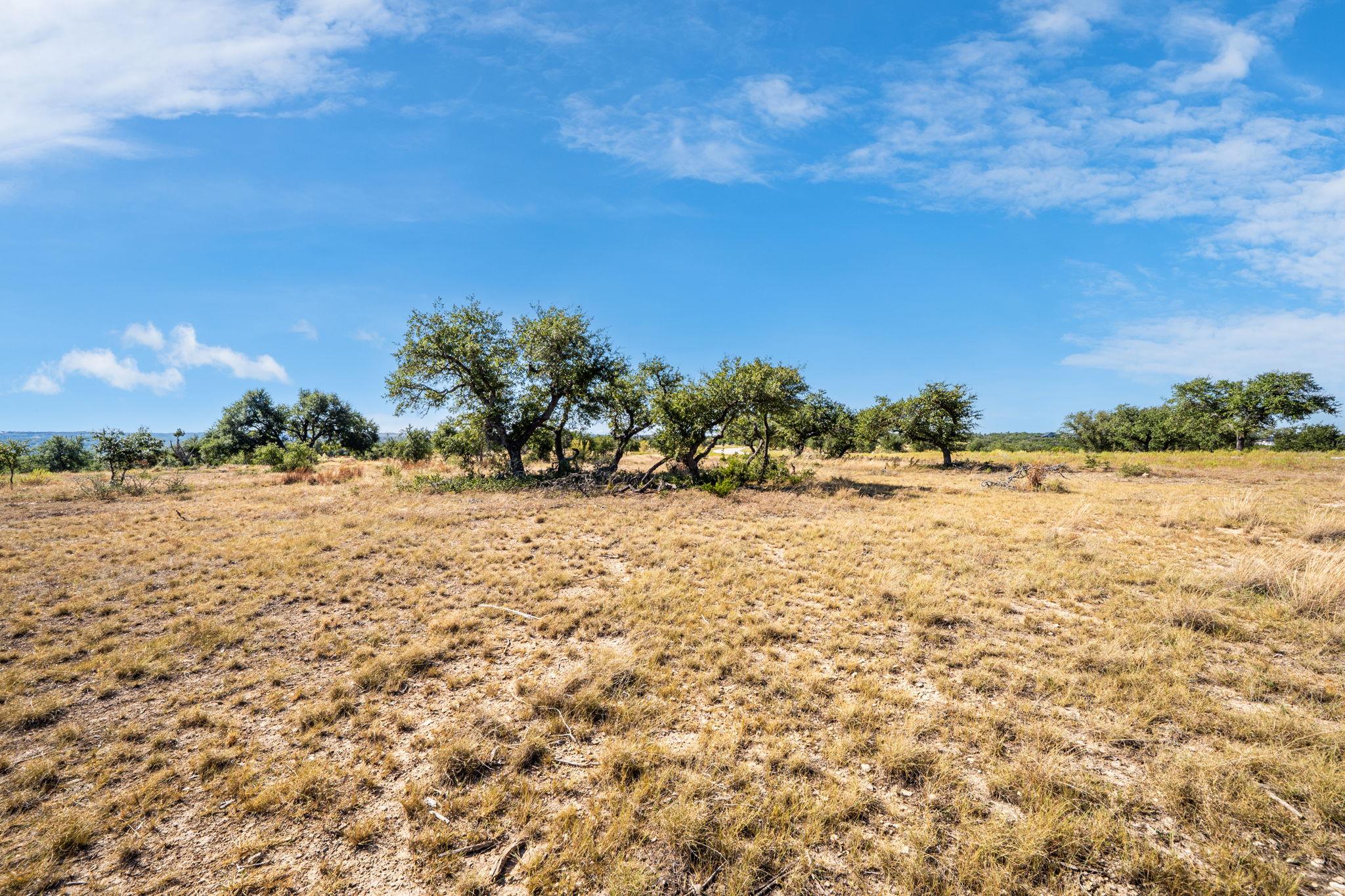 199 Flat Rock Way, Johnson City, TX 78636