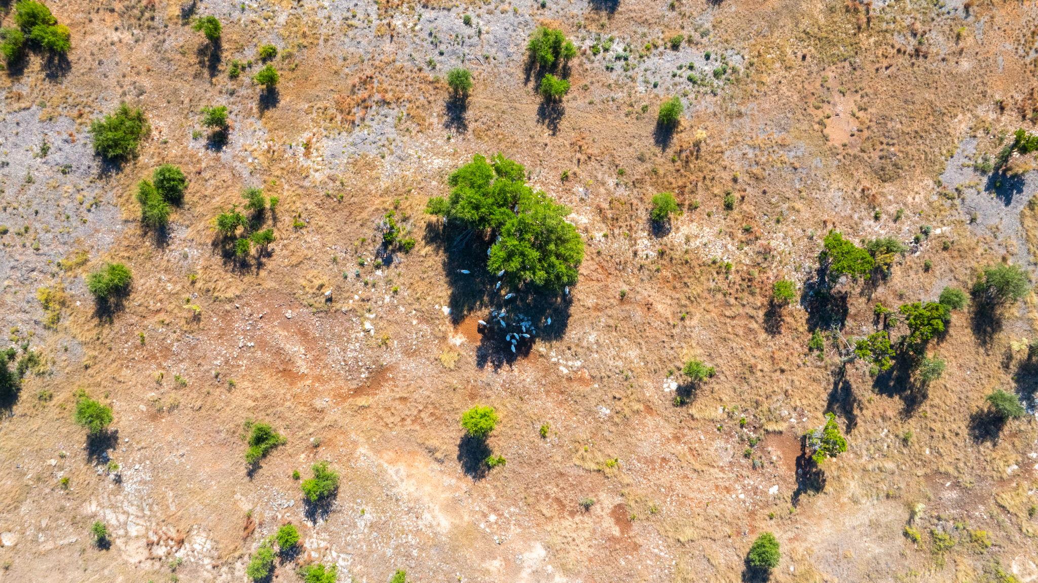 199 Flat Rock Way, Johnson City, TX 78636