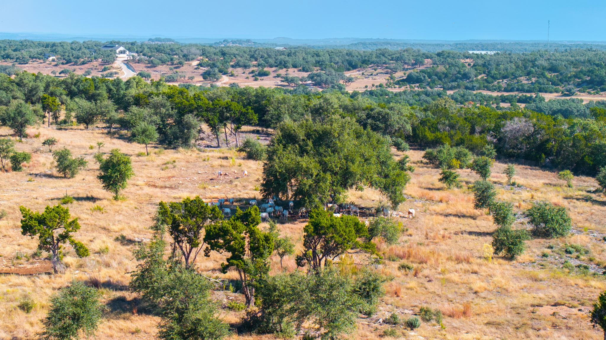 199 Flat Rock Way, Johnson City, TX 78636