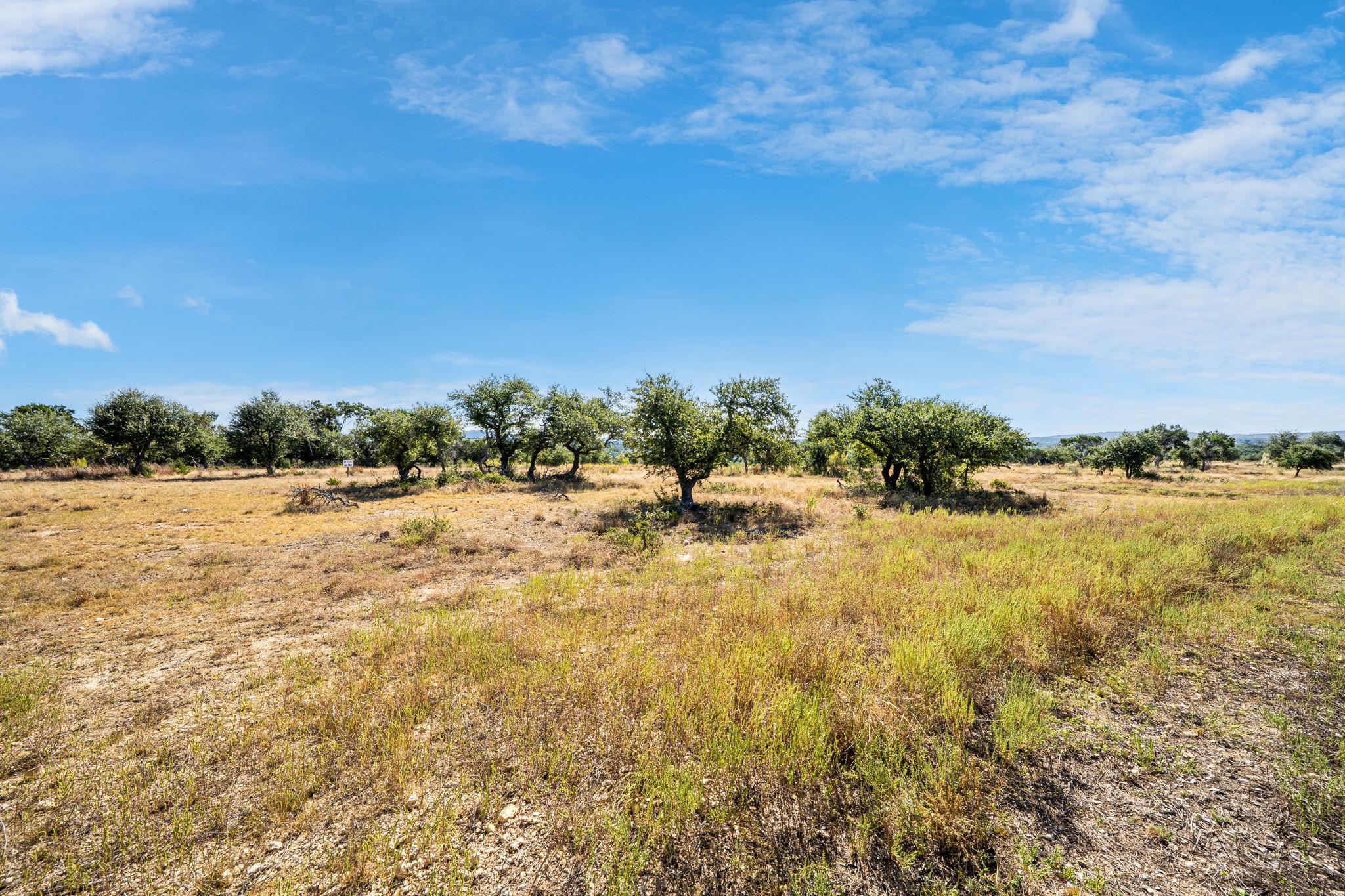 199 Flat Rock Way, Johnson City, TX 78636