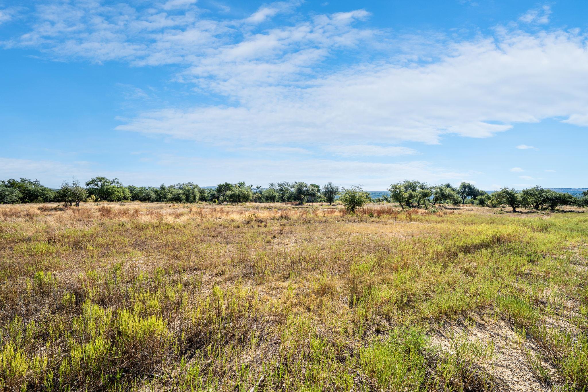 199 Flat Rock Way, Johnson City, TX 78636