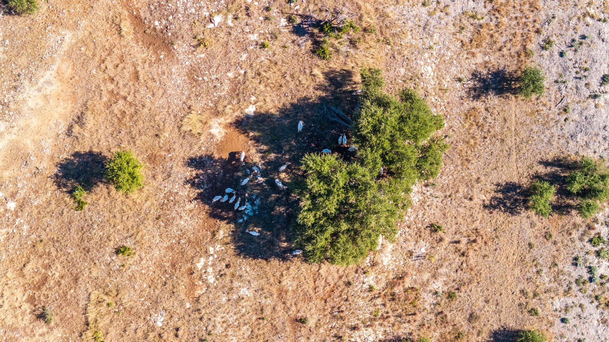 199 Flat Rock Way, Johnson City, TX 78636