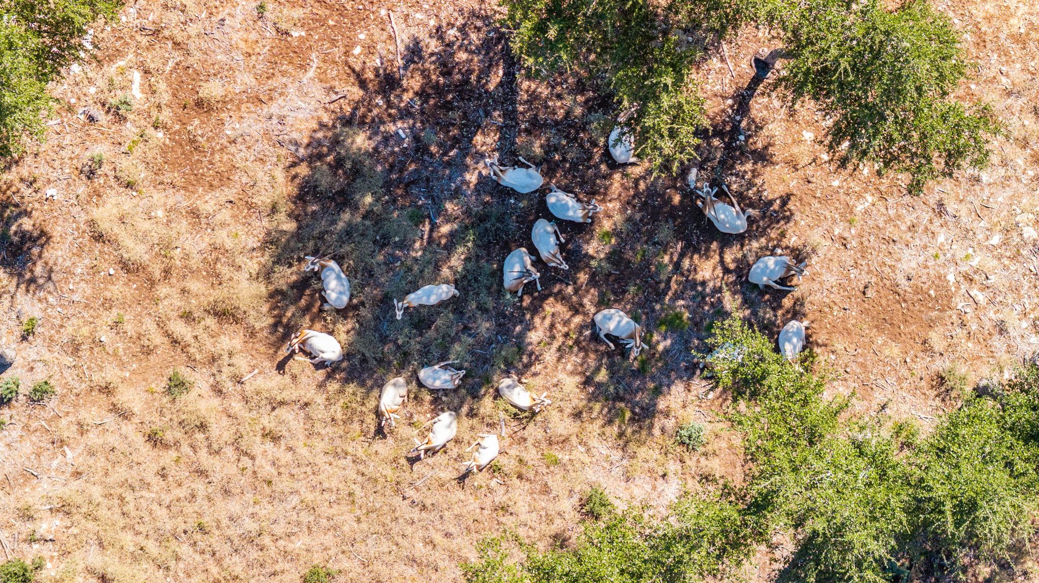 199 Flat Rock Way, Johnson City, TX 78636