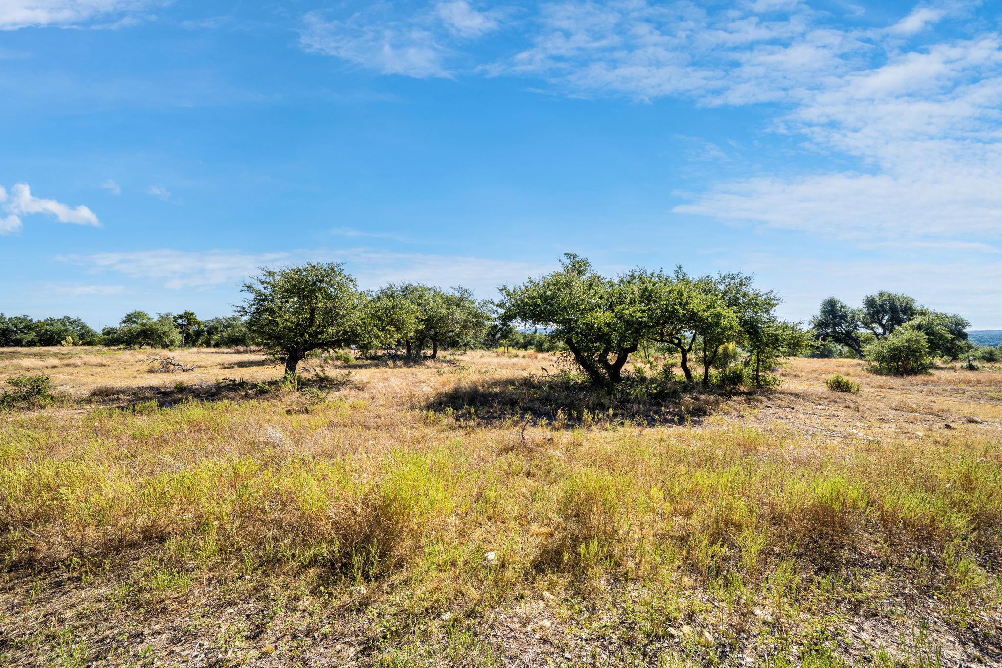 199 Flat Rock Way, Johnson City, TX 78636