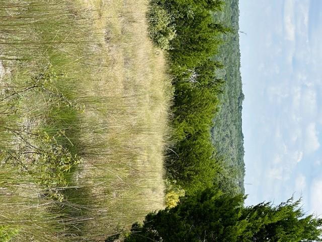 TBD Lot 1 Soaring Eagle Dr, Fischer, TX 78623