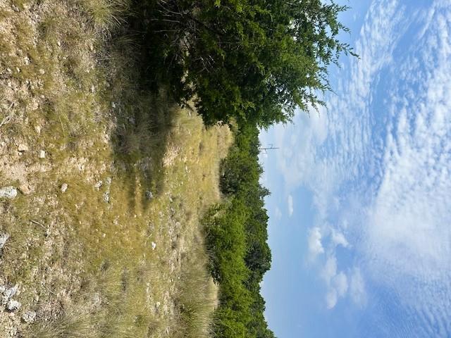 TBD Lot 1 Soaring Eagle Dr, Fischer, TX 78623