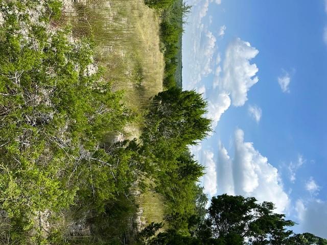 TBD Lot 1 Soaring Eagle Dr, Fischer, TX 78623