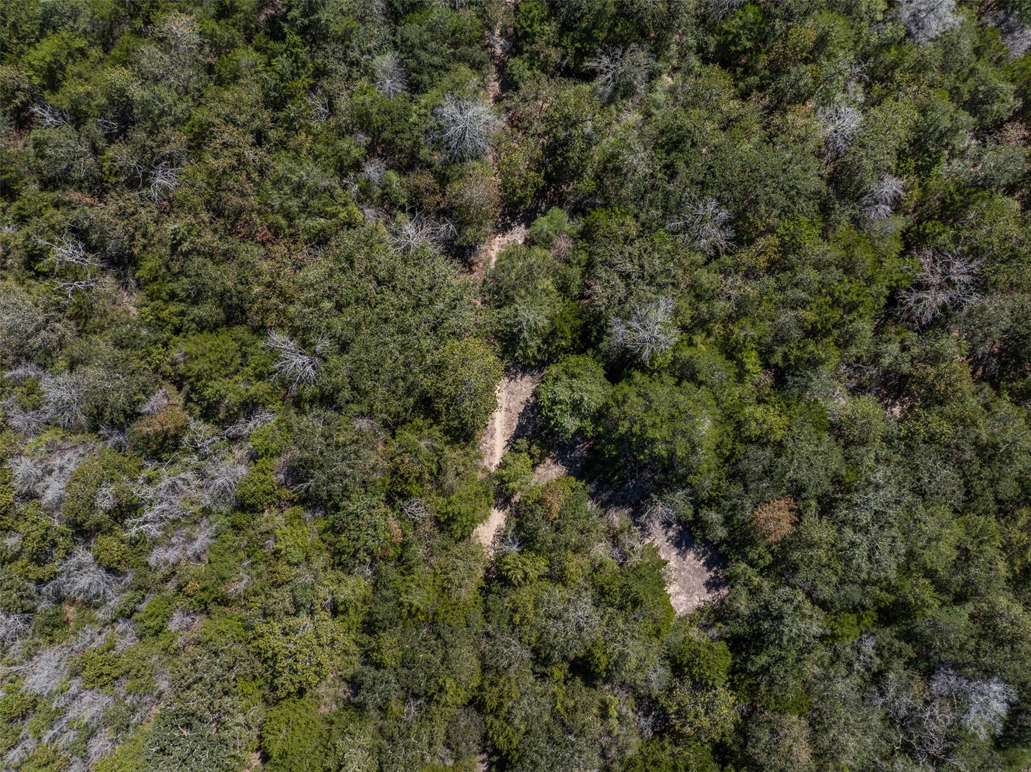 2025 Mule Creek Rd, Harwood, TX 78632