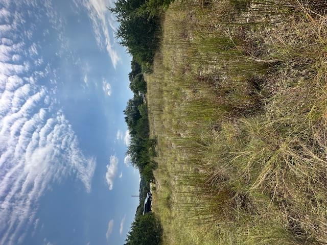 TBD LOT 3 Royal Eagle Dr, Fischer, TX 78623