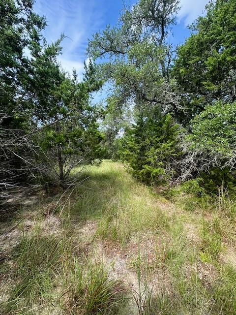 TBD LOT 3 Royal Eagle Dr, Fischer, TX 78623