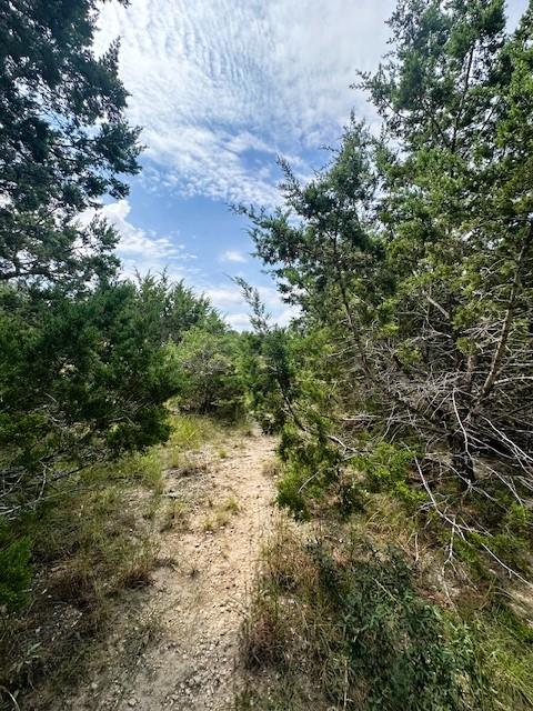 TBD LOT 3 Royal Eagle Dr, Fischer, TX 78623