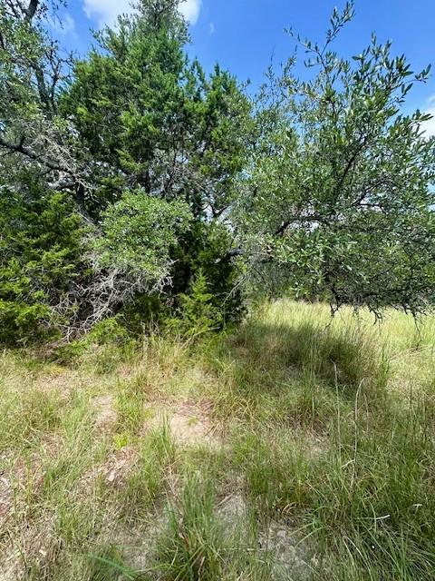 TBD LOT 3 Royal Eagle Dr, Fischer, TX 78623