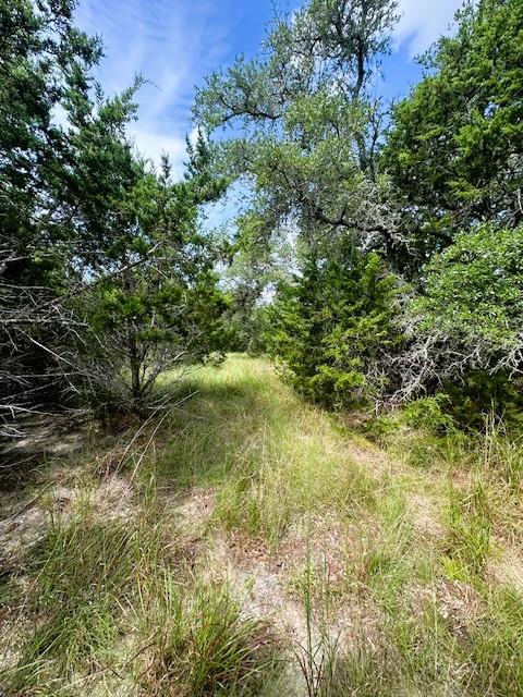 TBD LOT 4 Royal Eagle Dr, Fischer, TX 78623