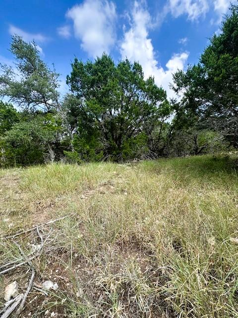 TBD LOT 4 Royal Eagle Dr, Fischer, TX 78623