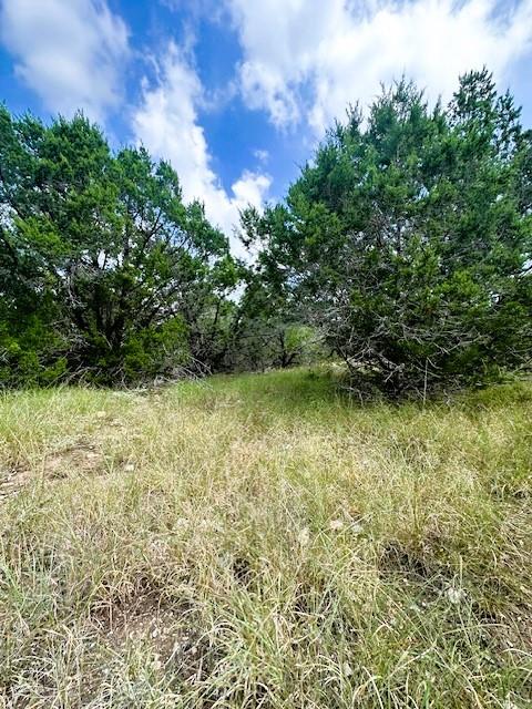 TBD LOT 4 Royal Eagle Dr, Fischer, TX 78623