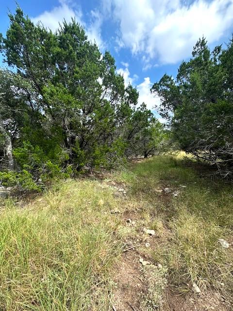 TBD LOT 4 Royal Eagle Dr, Fischer, TX 78623