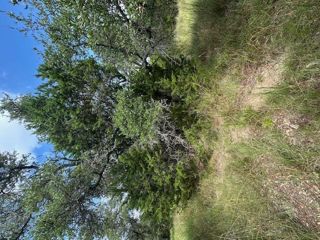 TBD LOT 4 Royal Eagle Dr, Fischer, TX 78623